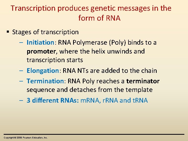 Transcription produces genetic messages in the form of RNA Stages of transcription – Initiation: