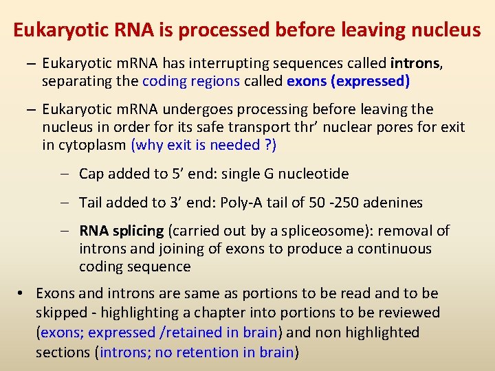 Eukaryotic RNA is processed before leaving nucleus – Eukaryotic m. RNA has interrupting sequences