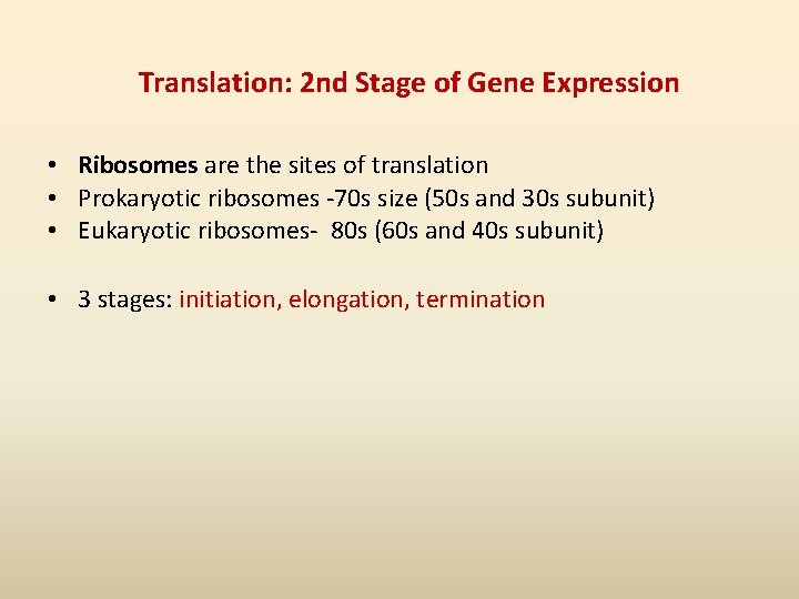 Translation: 2 nd Stage of Gene Expression • Ribosomes are the sites of translation