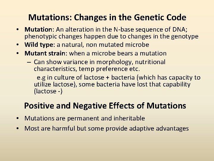 Mutations: Changes in the Genetic Code • Mutation: An alteration in the N-base sequence