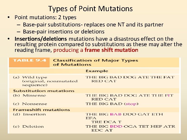 Types of Point Mutations • Point mutations: 2 types – Base-pair substitutions- replaces one