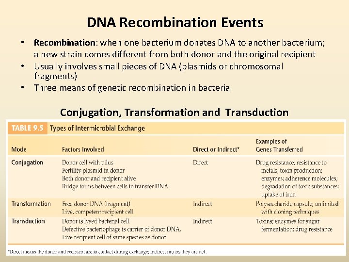 DNA Recombination Events • Recombination: when one bacterium donates DNA to another bacterium; a