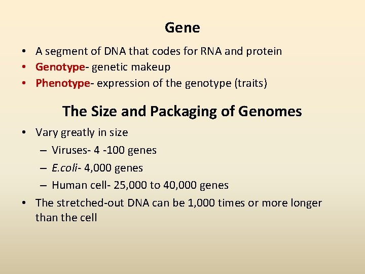 Gene • A segment of DNA that codes for RNA and protein • Genotype-