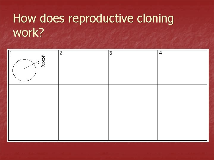 How does reproductive cloning work? 