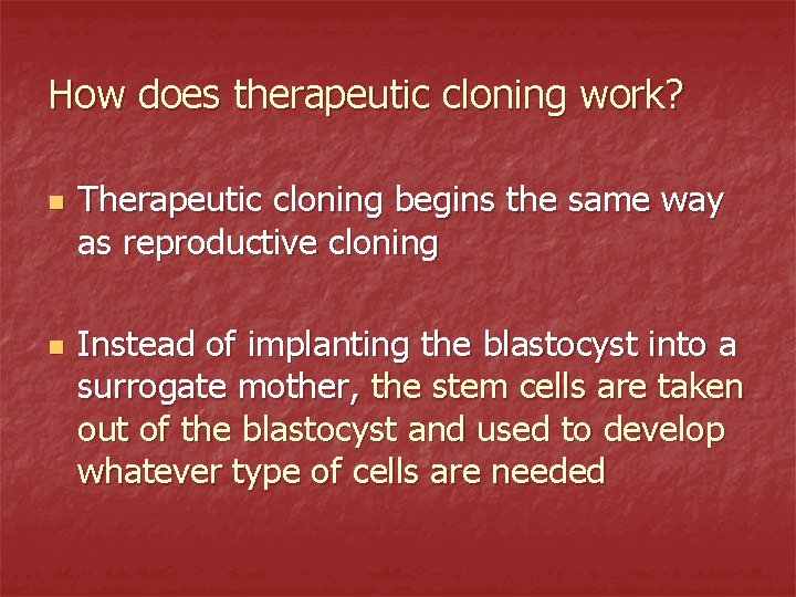 How does therapeutic cloning work? n n Therapeutic cloning begins the same way as