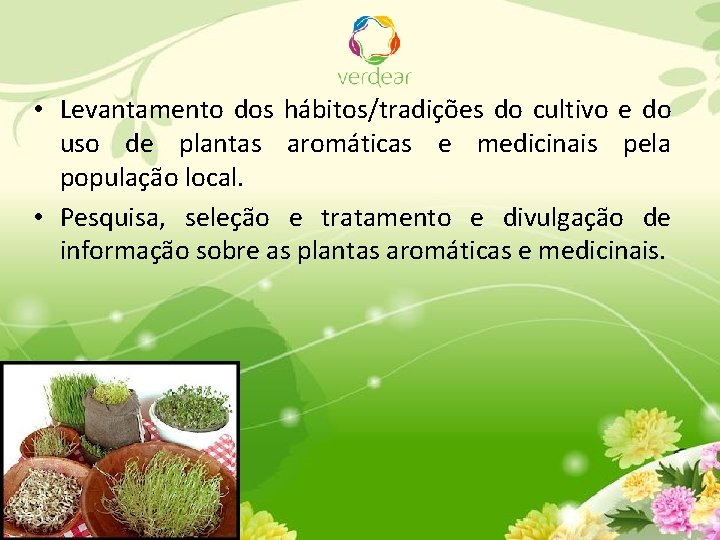  • Levantamento dos hábitos/tradições do cultivo e do uso de plantas aromáticas e