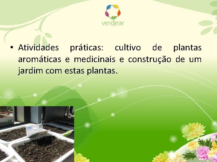  • Atividades práticas: cultivo de plantas aromáticas e medicinais e construção de um