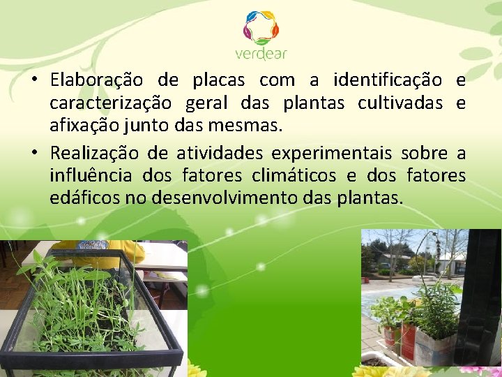  • Elaboração de placas com a identificação e caracterização geral das plantas cultivadas