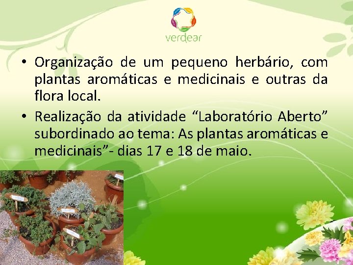  • Organização de um pequeno herbário, com plantas aromáticas e medicinais e outras