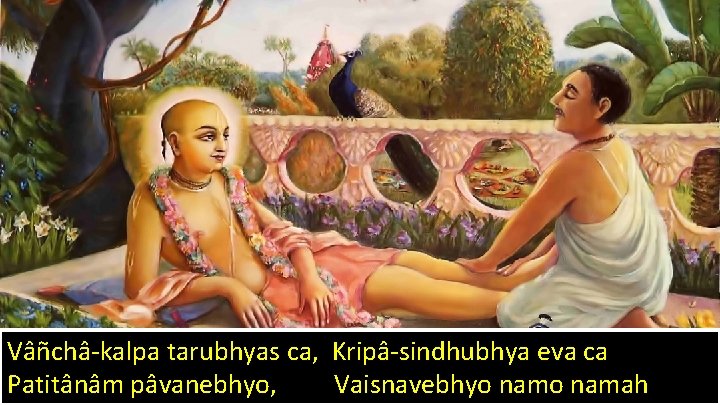 Vâñchâ-kalpa tarubhyas ca, Kripâ-sindhubhya eva ca Patitânâm pâvanebhyo, Vaisnavebhyo namah 46 