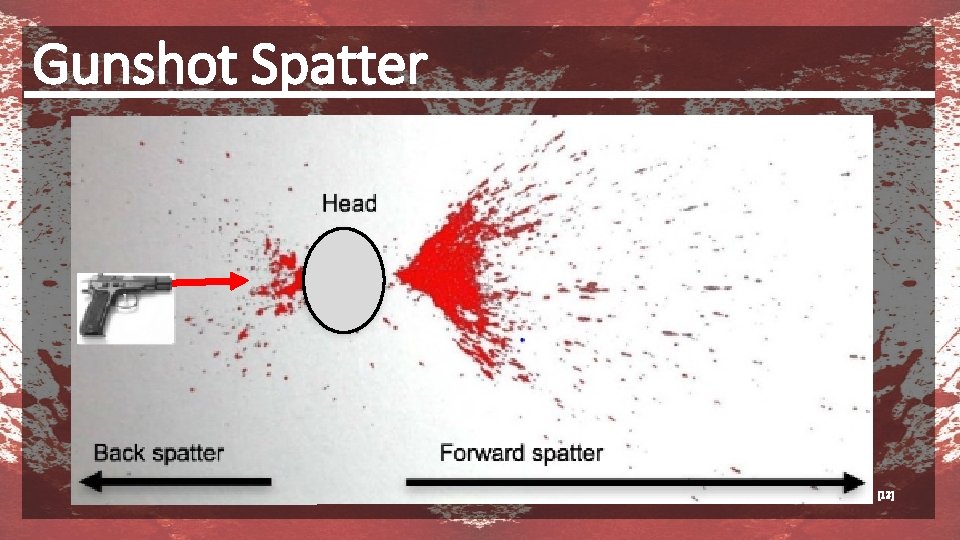 Gunshot Spatter [12] 