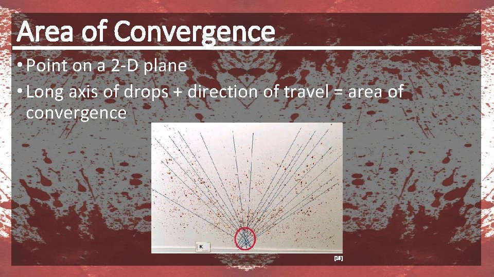 Area of Convergence • Point on a 2 -D plane • Long axis of
