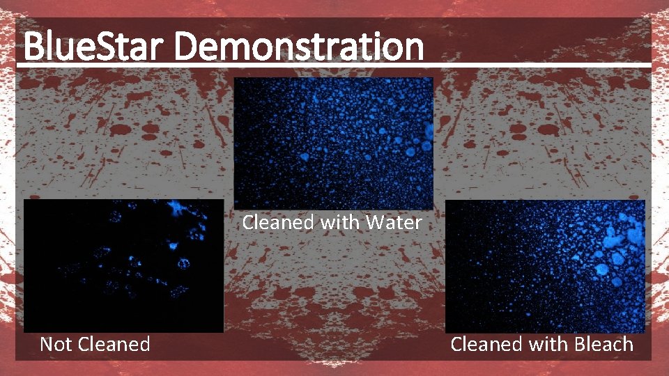 Blue. Star Demonstration Cleaned with Water Not Cleaned with Bleach 
