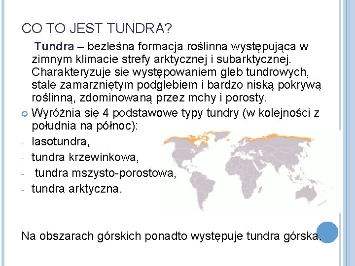 CO TO JEST TUNDRA? Tundra – bezleśna formacja roślinna występująca w zimnym klimacie strefy