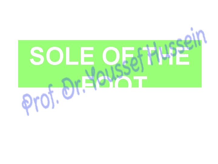 SOLE OF THE FOOT 
