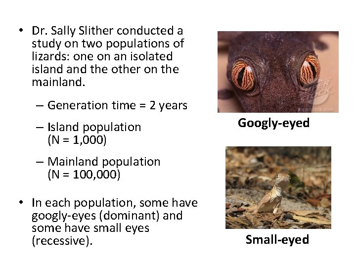  • Dr. Sally Slither conducted a study on two populations of lizards: one