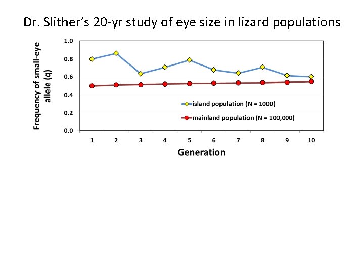 Dr. Slither’s 20 -yr study of eye size in lizard populations 