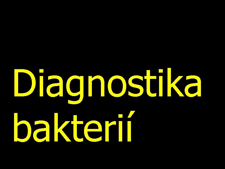 Diagnostika bakterií 