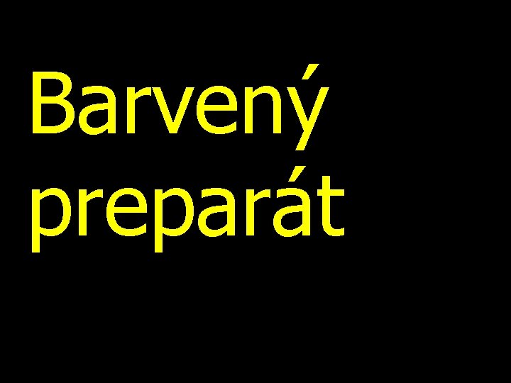 Barvený preparát 