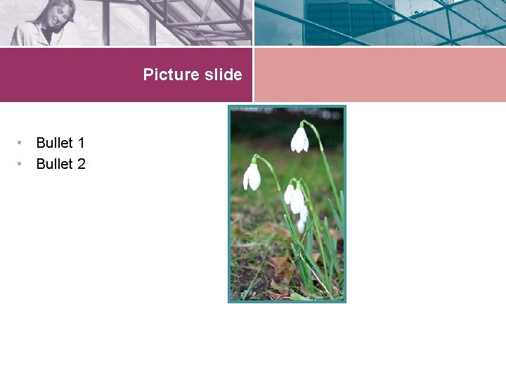 Picture slide • Bullet 1 • Bullet 2 