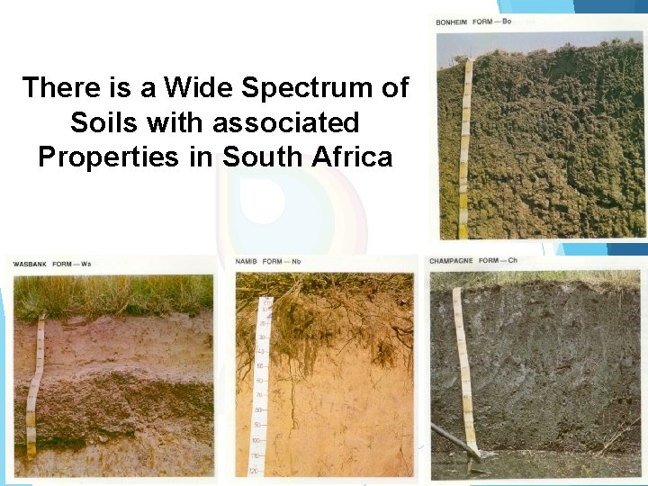 There is a Wide Spectrum of Soils with associated Properties in South Africa There is a Wide Spectrum of Soils with associated Properties in South Africa