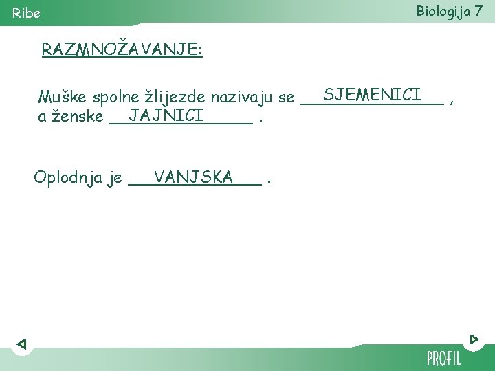 Biologija 7 Ribe RAZMNOŽAVANJE: SJEMENICI Muške spolne žlijezde nazivaju se _______ , JAJNICI a