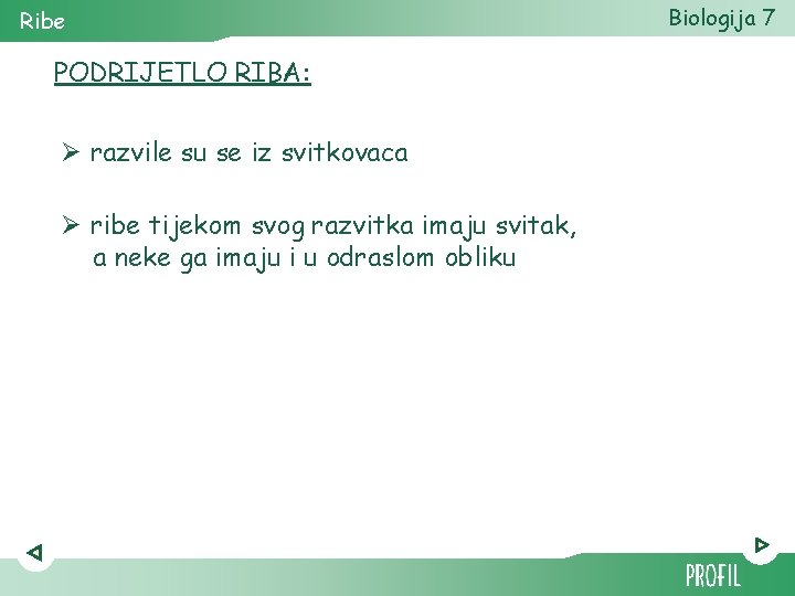 Ribe PODRIJETLO RIBA: Ø razvile su se iz svitkovaca Ø ribe tijekom svog razvitka