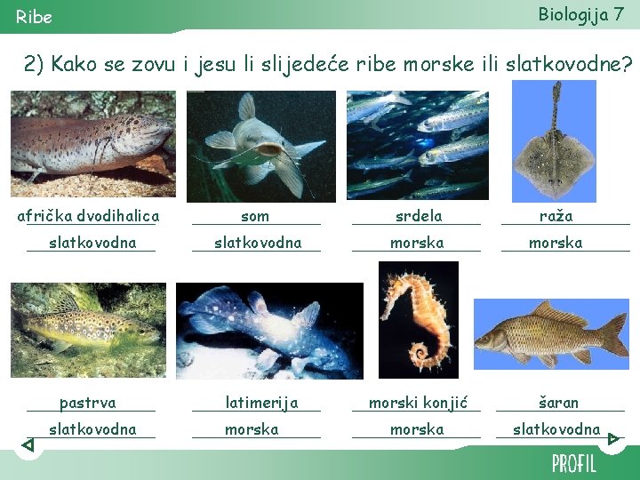 Biologija 7 Ribe 2) Kako se zovu i jesu li slijedeće ribe morske ili