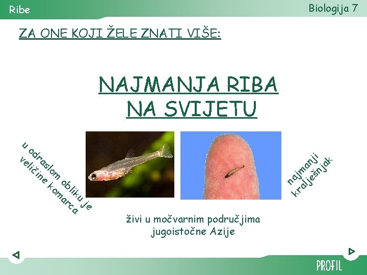 Biologija 7 Ribe ZA ONE KOJI ŽELE ZNATI VIŠE: u od ve ra lič