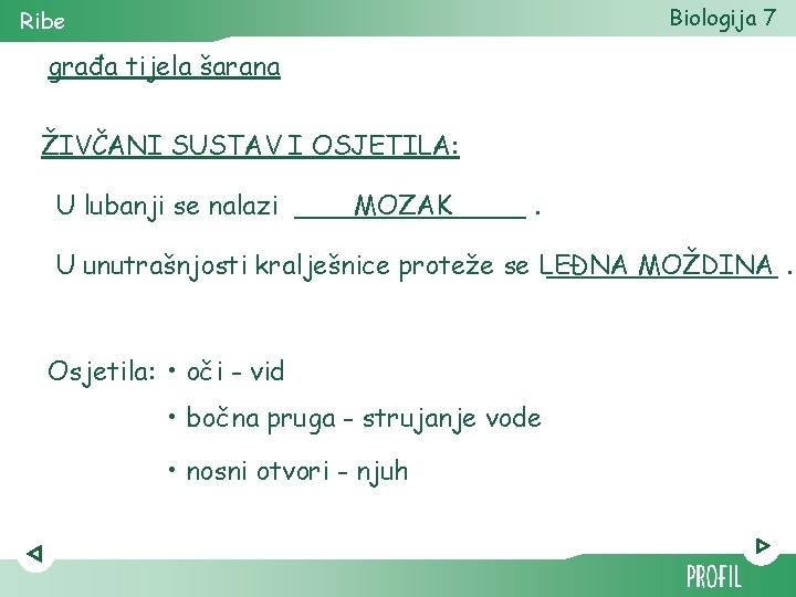 Biologija 7 Ribe građa tijela šarana ŽIVČANI SUSTAV I OSJETILA: U lubanji se nalazi