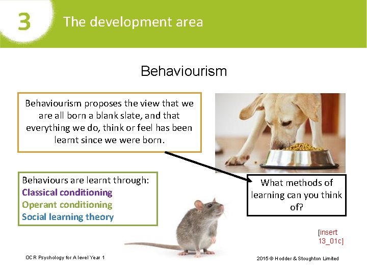 The development area Behaviourism proposes the view that we are all born a blank