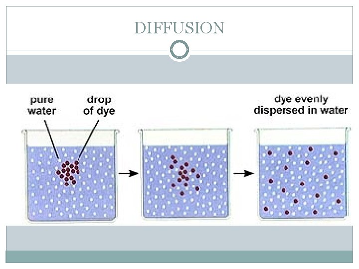 DIFFUSION 