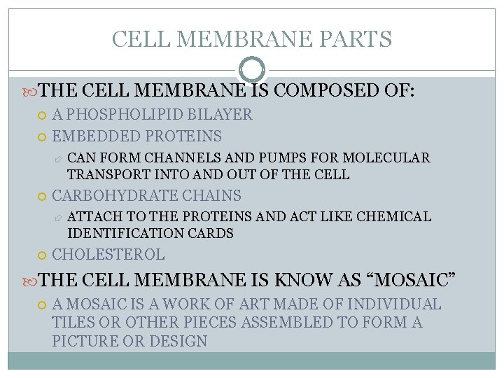 CELL MEMBRANE PARTS THE CELL MEMBRANE IS COMPOSED OF: A PHOSPHOLIPID BILAYER EMBEDDED PROTEINS