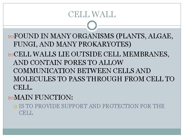 CELL WALL FOUND IN MANY ORGANISMS (PLANTS, ALGAE, FUNGI, AND MANY PROKARYOTES) CELL WALLS