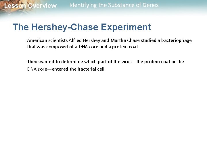 Lesson Overview Identifying the Substance of Genes The Hershey-Chase Experiment American scientists Alfred Hershey