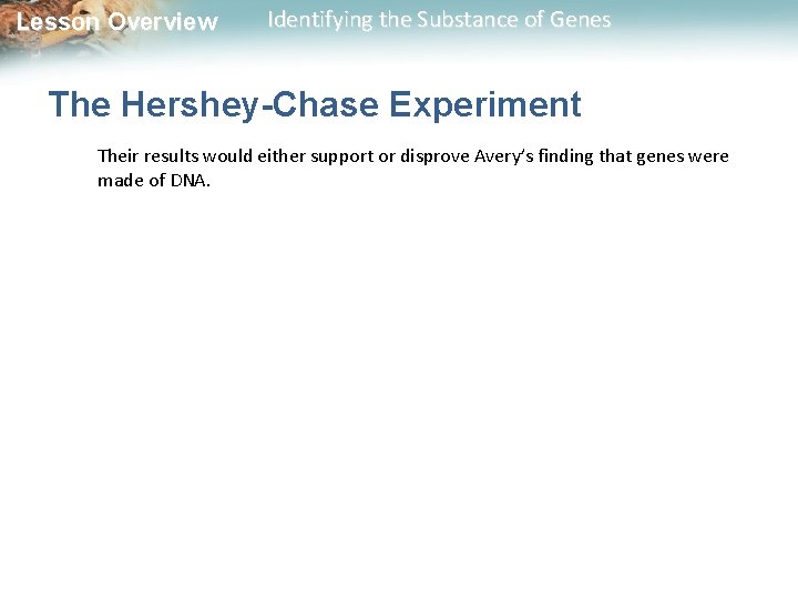 Lesson Overview Identifying the Substance of Genes The Hershey-Chase Experiment Their results would either