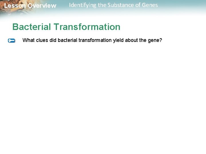 Lesson Overview Identifying the Substance of Genes Bacterial Transformation What clues did bacterial transformation