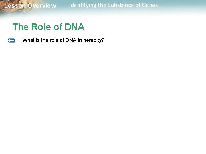 Lesson Overview Identifying the Substance of Genes The Role of DNA What is the