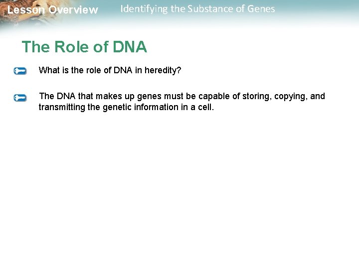 Lesson Overview Identifying the Substance of Genes The Role of DNA What is the