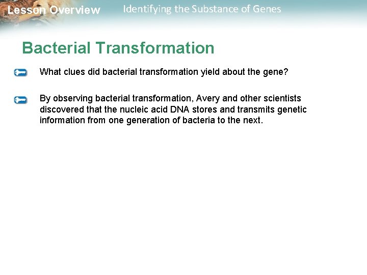 Lesson Overview Identifying the Substance of Genes Bacterial Transformation What clues did bacterial transformation