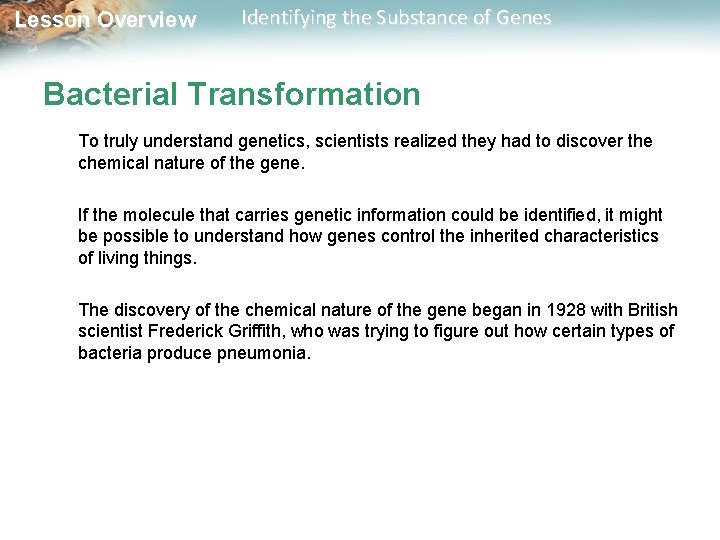 Lesson Overview Identifying the Substance of Genes Bacterial Transformation To truly understand genetics, scientists