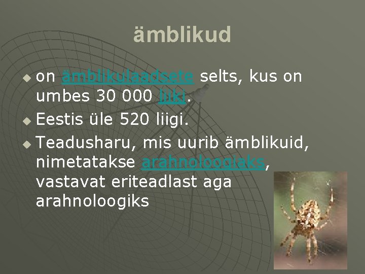 ämblikud on ämblikulaadsete selts, kus on umbes 30 000 liiki. u Eestis üle 520