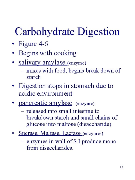 Lecture 3 Ch 4 Carbohydrates 1 Overview Carbohydrates