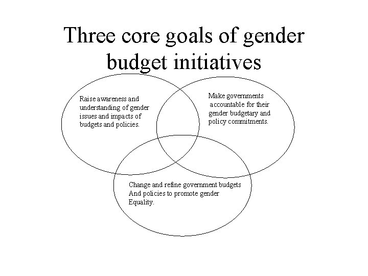Three core goals of gender budget initiatives Raise awareness and understanding of gender issues
