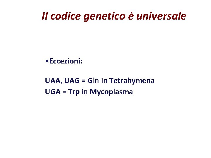 Il codice genetico è universale • Eccezioni: UAA, UAG = Gln in Tetrahymena UGA