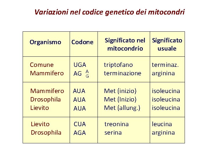 Variazioni nel codice genetico dei mitocondri Organismo Codone Significato nel Significato mitocondrio usuale Comune