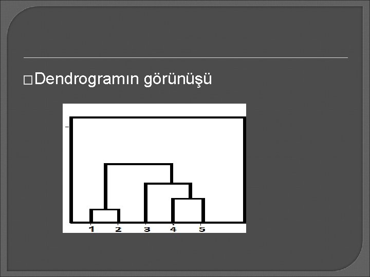 �Dendrogramın görünüşü 