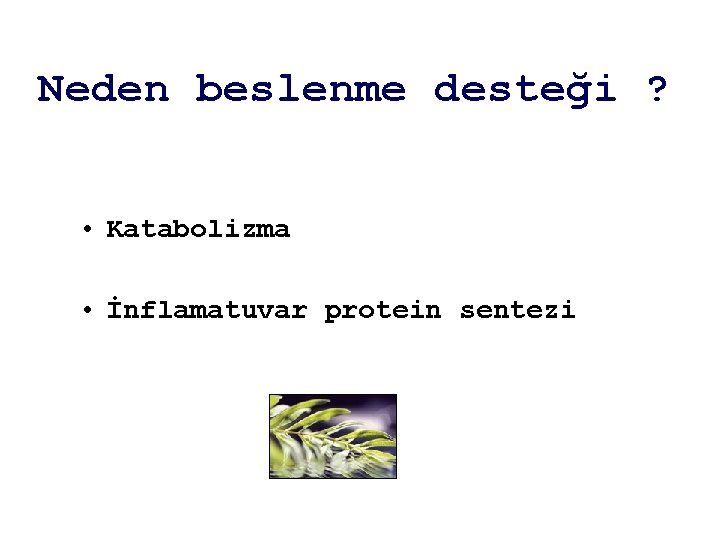 Neden beslenme desteği ? • Katabolizma • İnflamatuvar protein sentezi 