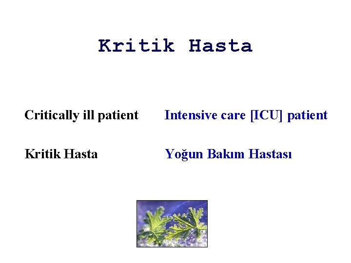 Kritik Hasta Critically ill patient Intensive care [ICU] patient Kritik Hasta Yoğun Bakım Hastası