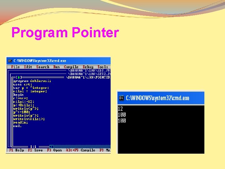 Program Pointer 